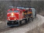 CP 8119